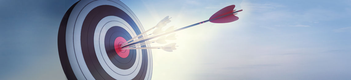 Mission & Vision of Surabhi Trading Pvt. Ltd.