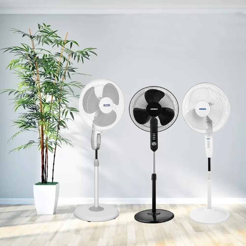 Elevate Your Comfort with Luminous Fans